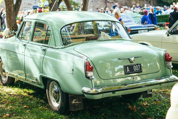 Baskets léopard montantes : le style audacieux et confortable